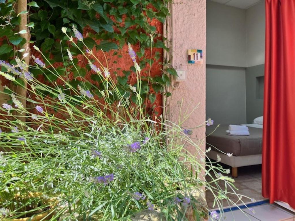 Hotel Le Colbert Avignon Ngoại thất bức ảnh
